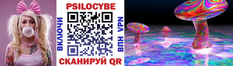 Псилоцибиновые грибы мицелий  мега ссылки  Белая Холуница 